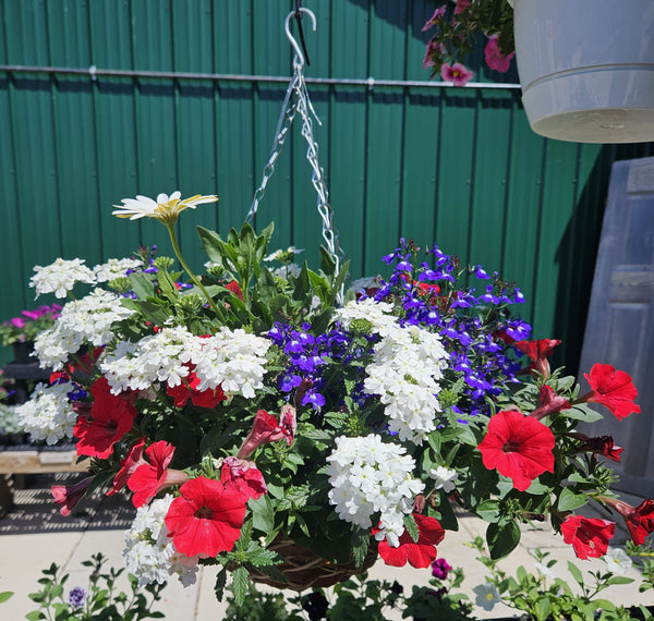 Hanging Baskets