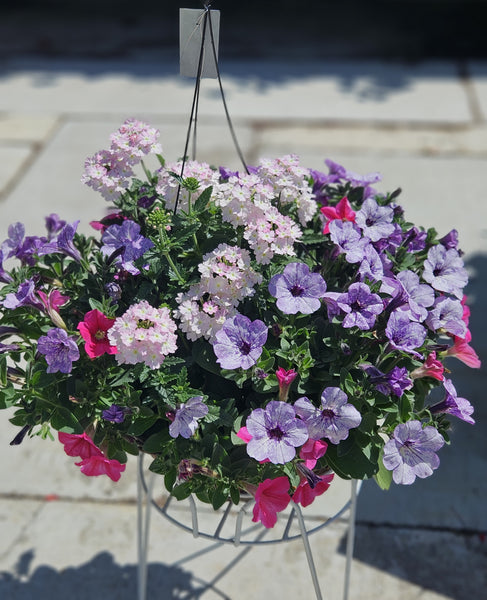 Hanging Baskets