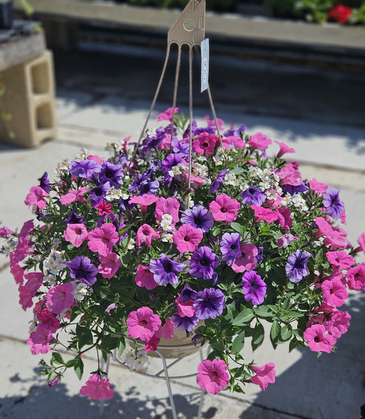 Hanging Baskets