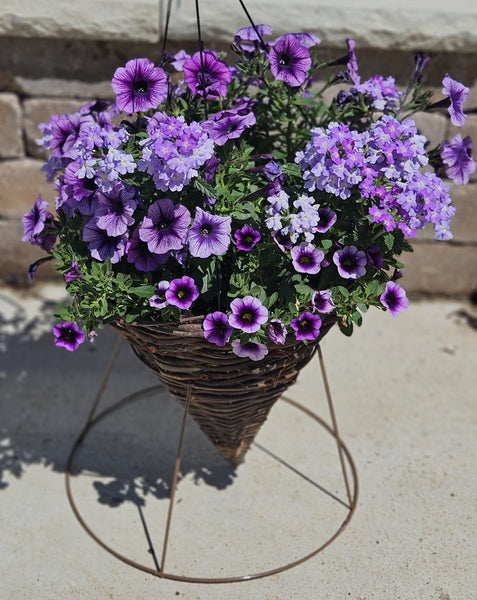 Hanging Baskets